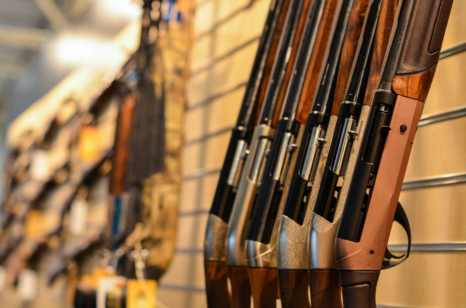 Firearms Store & Range plus Real Estate